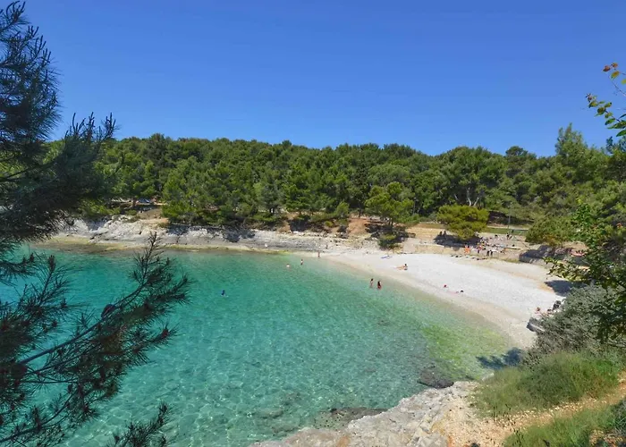 Apartment In - Istrien 10950